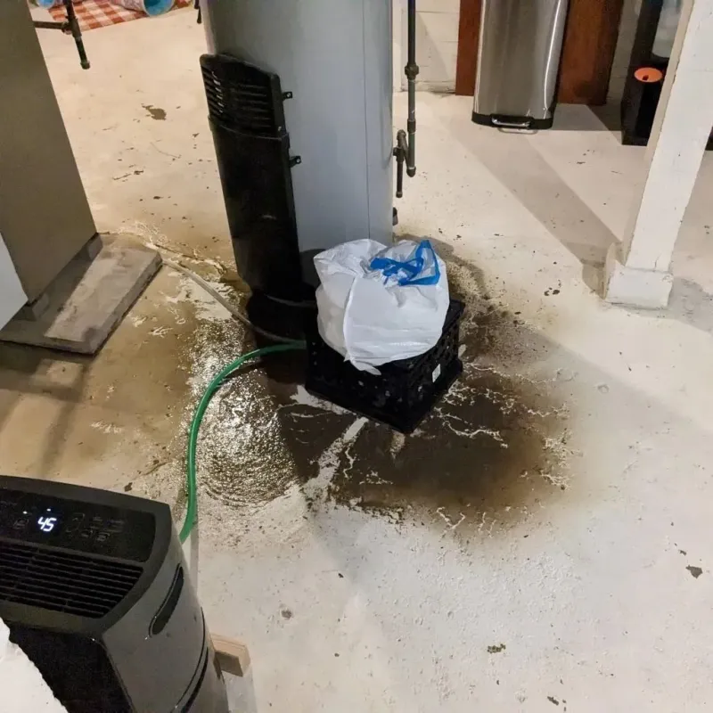 Sewage Backup Cleanup Service in Clarendon County, SC